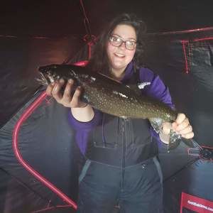 Meet your Posher, Jill